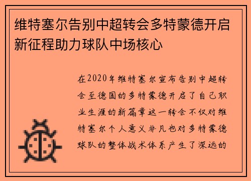 维特塞尔告别中超转会多特蒙德开启新征程助力球队中场核心